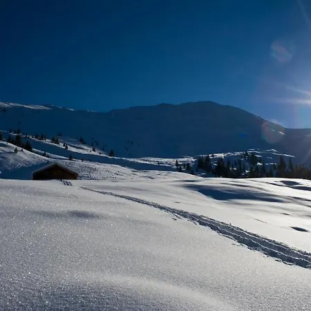 Islitzer Hollersbach im Pinzgau