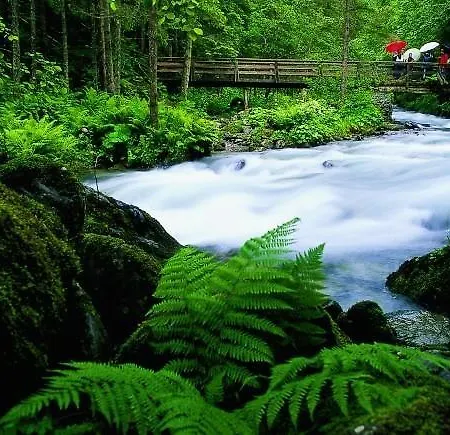 Islitzer * Hollersbach im Pinzgau