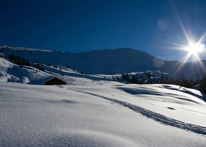 Islitzer Hollersbach im Pinzgau